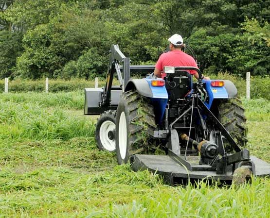 We provide professional bush hogging services for all property types including large properties, farms, and undeveloped land.