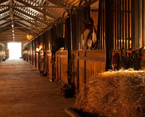 Custom horse barn installations.