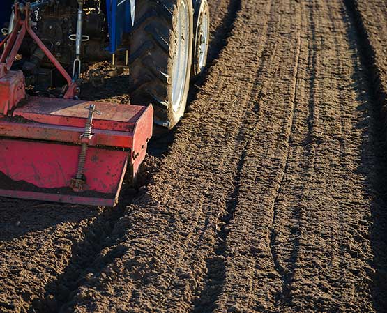 Healthy lawns start with our grading and seeding services.