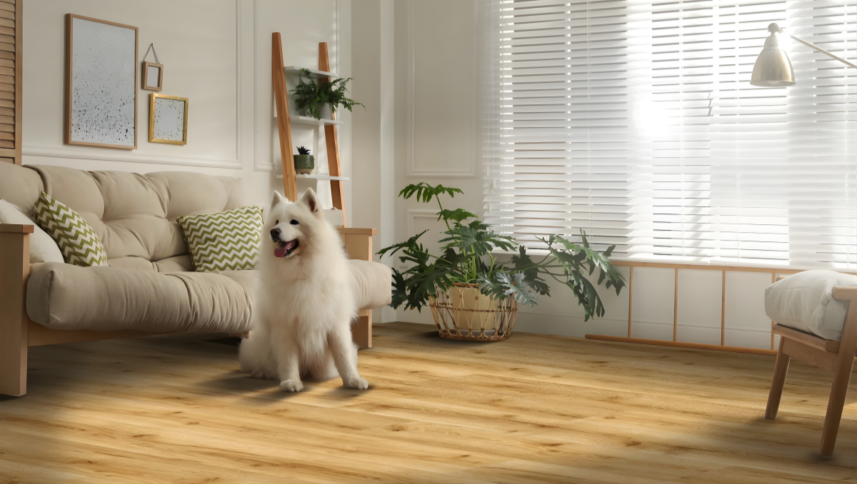 Dog sat on Republic flooring in Living area