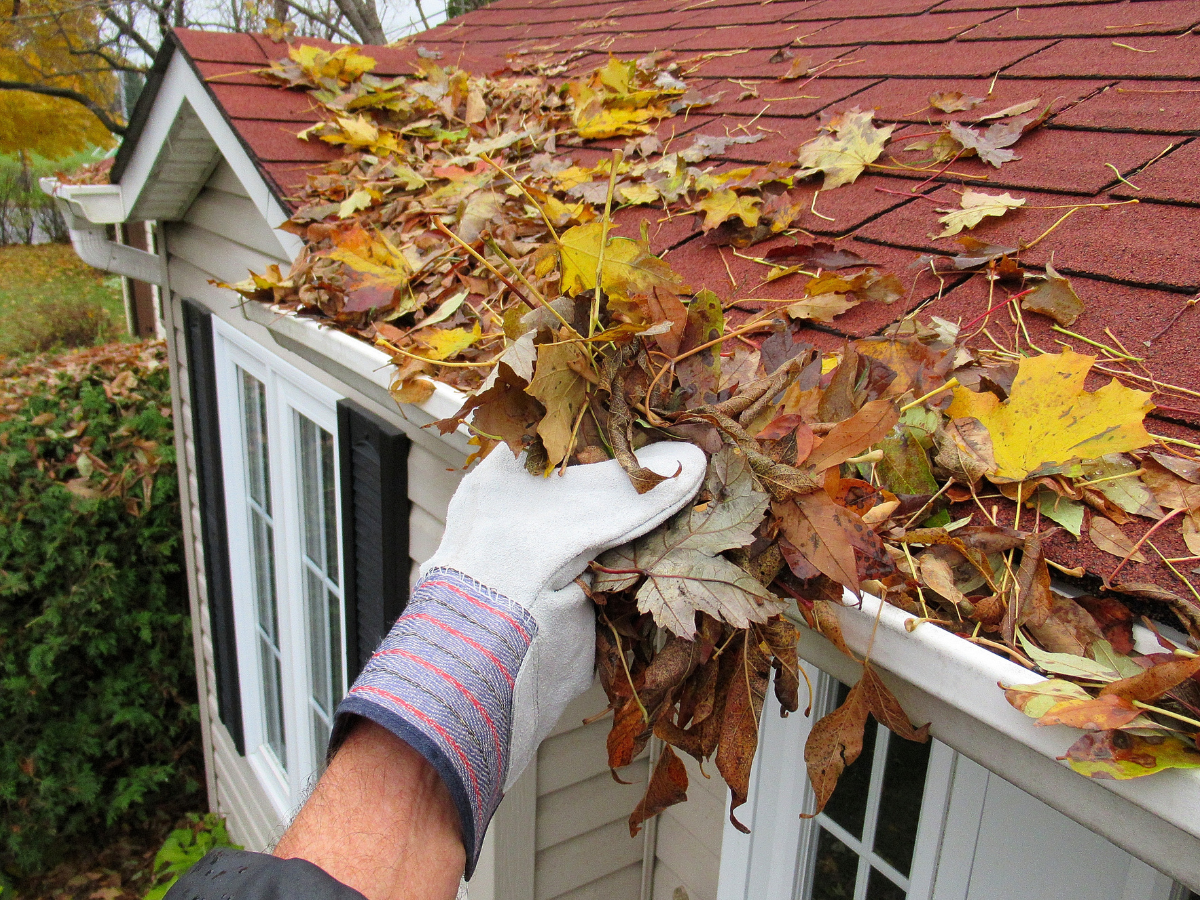 Homeowner removing leaves from gutters during fall home maintenance on the Eastern Shore